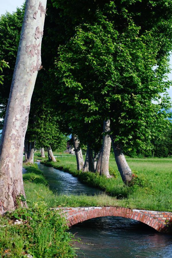 Casa Vola Bed & Breakfast Cuneo Luaran gambar